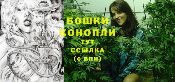 гидра Абаза