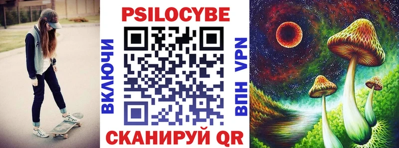сколько стоит Курск Галлюциногенные грибы прущие грибы