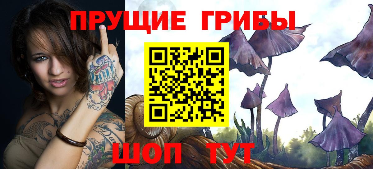 Курск  где продают наркотики  Вход с VPN  Псилоцибиновые грибы прущие грибы  Псилоцибиновые грибы мухоморы 
